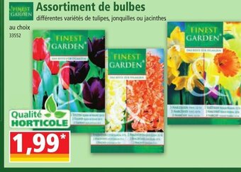 Norma FINEST Assortiment de bulbes offre