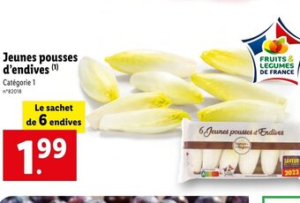 Lidl Jeunes pousses d'endives (¹) Catégorie 1 offre
