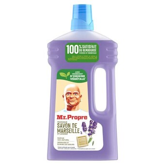 Carrefour Market Mr propre nettoyant ménager offre