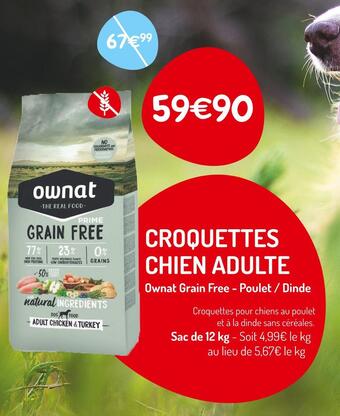 Croquettes chien adulte