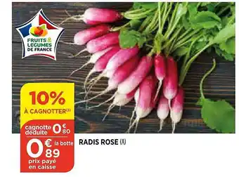 Bi1 Radis Rose offre