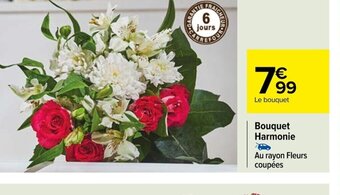 Carrefour Bouquet Harmonie offre