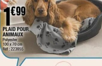 La Foir'Fouille PLAID POUR ANIMAUX Polyester 100 x 70 cm offre