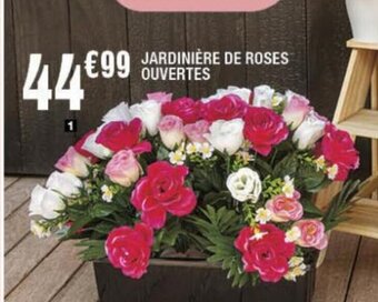 JARDINIÈRE DE ROSES OUVERTES