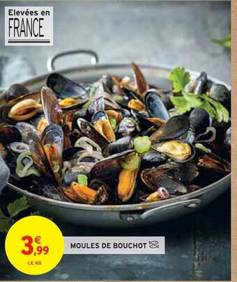 Intermarché Moules de bouchot offre