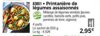 Printanière de légumes assaisonnés