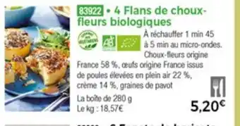 Thiriet 4 Flans de choux fleurs biologiques offre