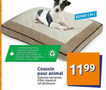 Coussin Pour Animal