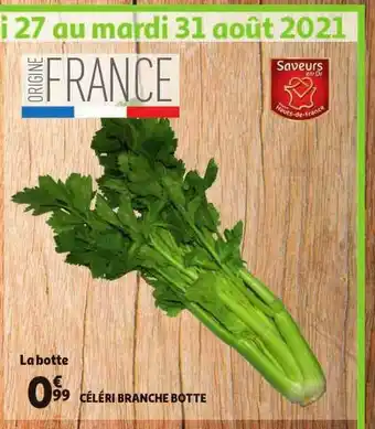 Céléri Branche Botte