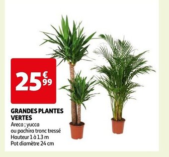 Auchan GRANDES PLANTES VERTES offre