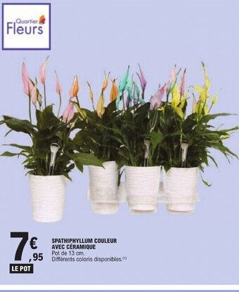 E.Leclerc SPATHIPHYLLUM COULEUR AVEC CÉRAMIQUE offre