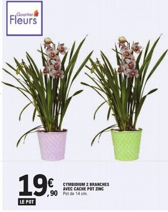E.Leclerc CYMBIDIUM 2 BRANCHES AVEC CACHE POT ZINC offre