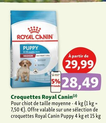 Maxi Zoo Royal canin croquettes royal canin offre