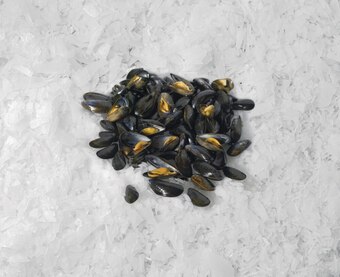 Grand Frais Moules de bouchot de la baie du mont-saint-michel offre