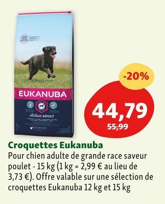 Maxi Zoo Eukanuba croquettes eukanuba offre
