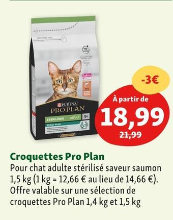Maxi Zoo Pro plan croquettes pro plan offre