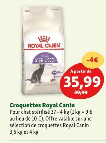 Maxi Zoo Royal canin croquettes royal canin offre
