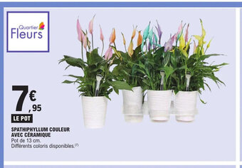 E.Leclerc SPATHIPHYLLUM COULEUR AVEC CÉRAMIQUE offre
