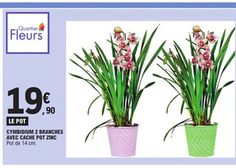 E.Leclerc CYMBIDIUM 2 BRANCHES AVEC CACHE POT ZINC Pot de 14 cm. offre
