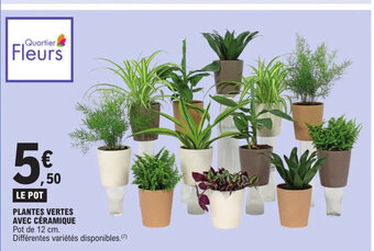 E.Leclerc PLANTES VERTES AVEC CÉRAMIQUE offre