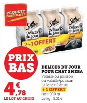 DELICES DU JOUR POUR CHAT SHEBA