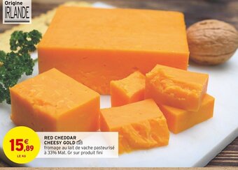 RED CHEDDAR CHEESY GOLD