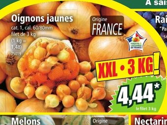 Norma Oignons jaunes offre