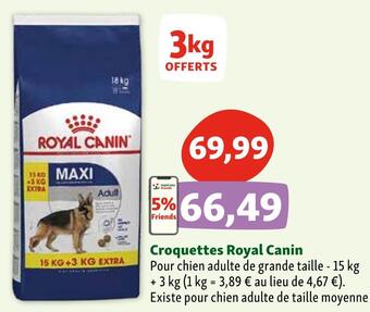Maxi Zoo Royal canin croquettes offre