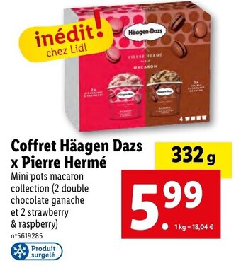 Lidl Coffret Häagen Dazs x Pierre Hermé offre