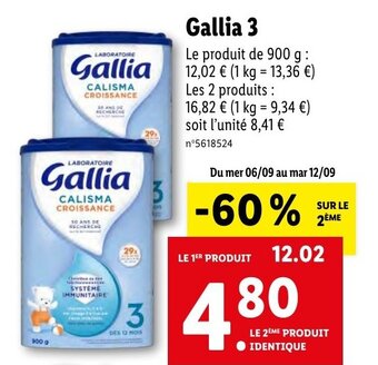Gallia 3