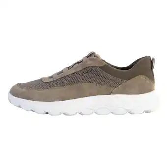 Decathlon Basket cuir geox u spherica b - homme offre