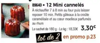 Thiriet 12 Mini Cannelés offre