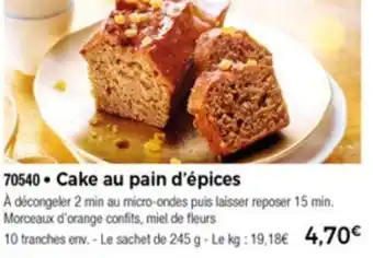 Thiriet Cake Au Pain d'epices offre