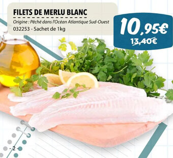 Gel 2000 FILETS DE MERLU BLANC offre