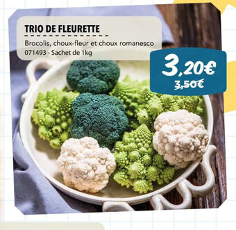 Gel 2000 TRIO DE FLEURETTE offre