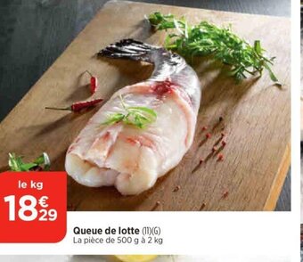 Bi1 Queue de lotte offre