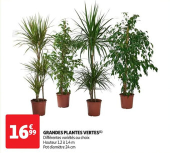Auchan GRANDES PLANTES VERTES(¹) offre