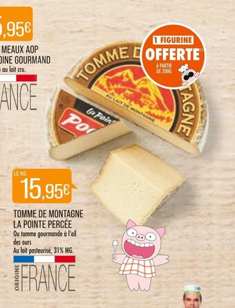 TOMME DE MONTAGNE LA POINTE PERCĂE