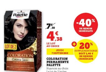 COLORATION PERMANENTE PALETTE