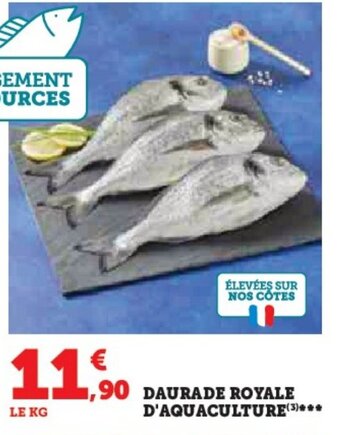 Hyper U DAURADE ROYALE D'AQUACULTURE offre