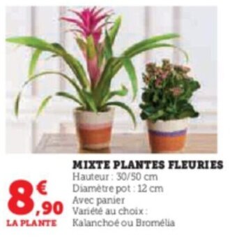 Super U MIXTE PLANTES FLEURIES offre