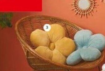 Auchan COUSSIN FORME FLEUR offre