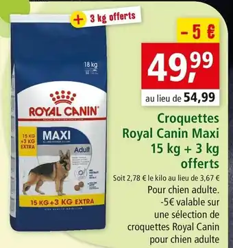 Maxi Zoo Croquettes royal canin maxi offre