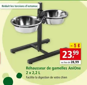 Maxi Zoo Rtéhausseur de gamelles anione offre