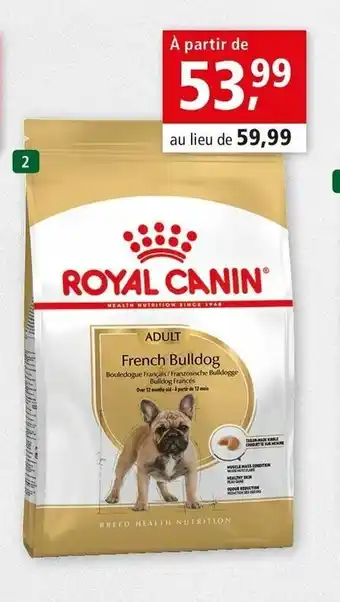 Maxi Zoo Croquettes royal canin bouledogue français offre