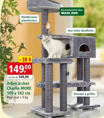 Arbre à chat charlie more