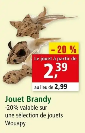 Maxi Zoo Jouet brandy offre