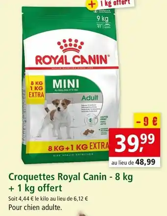 Maxi Zoo Croquettes royal canin offre