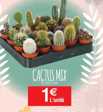 Cora x Carrefour CACTUS MIX offre
