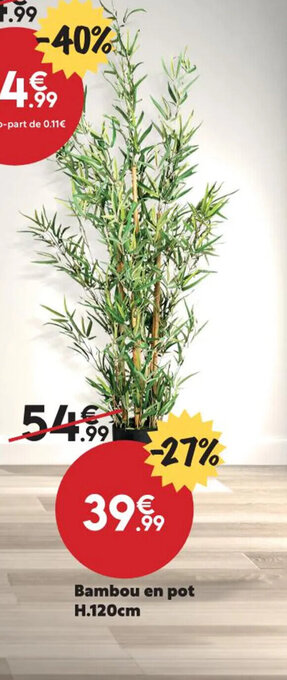 Maxi Bazar Bambou en pot H120cm offre